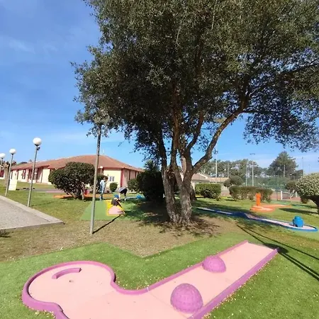 Maison Charmante A Avec Piscine Et Jardin * Soustons